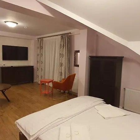 Raluca Boutique Guest house *