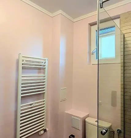 Guest house Raluca Boutique *