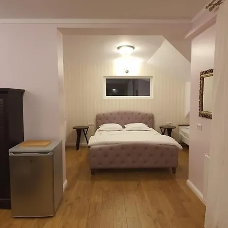 Guest house Raluca Boutique