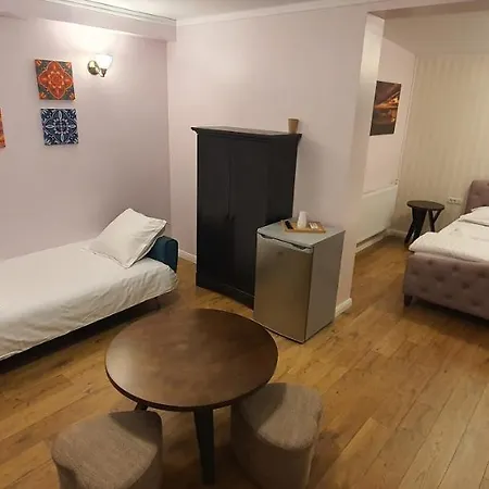 Guest house Raluca Boutique *