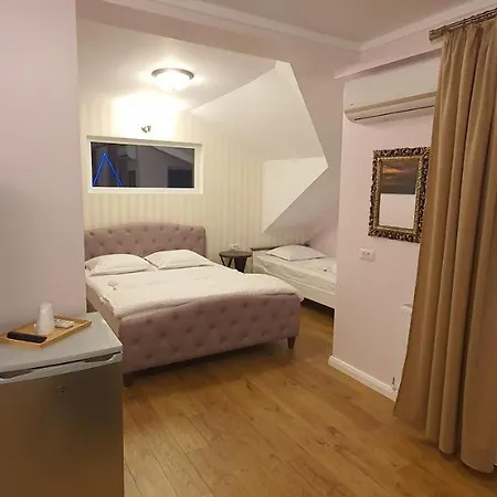 Raluca Boutique Guest house